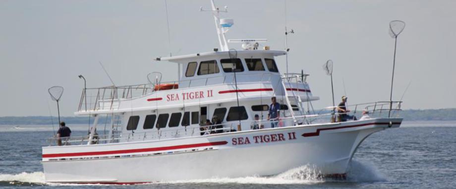 Sea Tiger II - Atlantic Highlands, NJ - Home